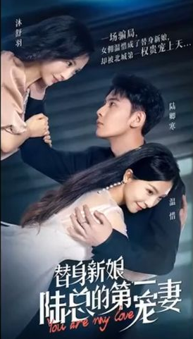 替身新娘:陆总的第一宠妻 第71集