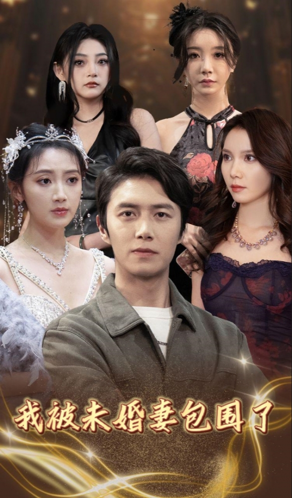 我被未婚妻包围了 第35集