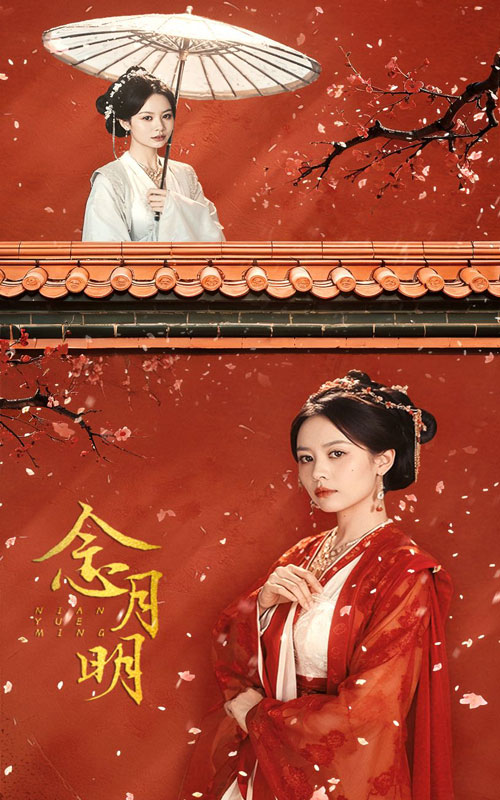 念月明 第41集