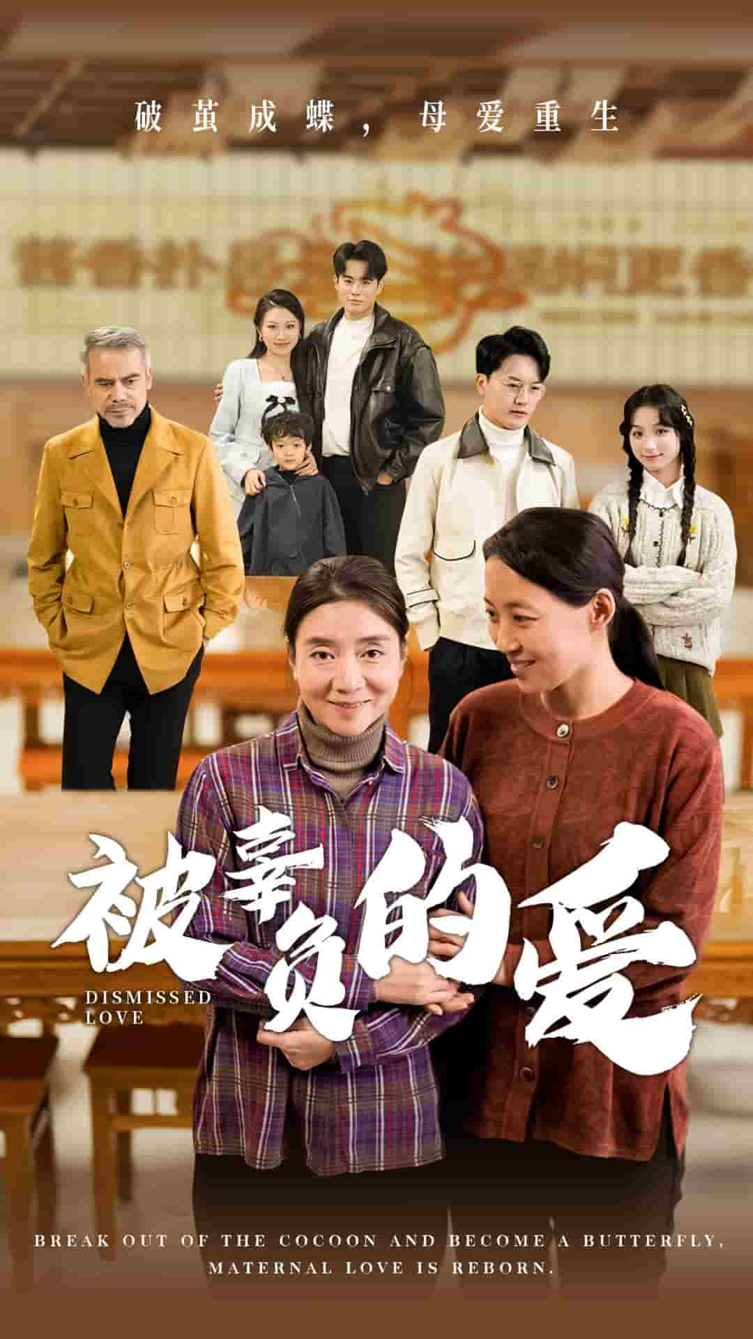 被辜负的爱 第21集