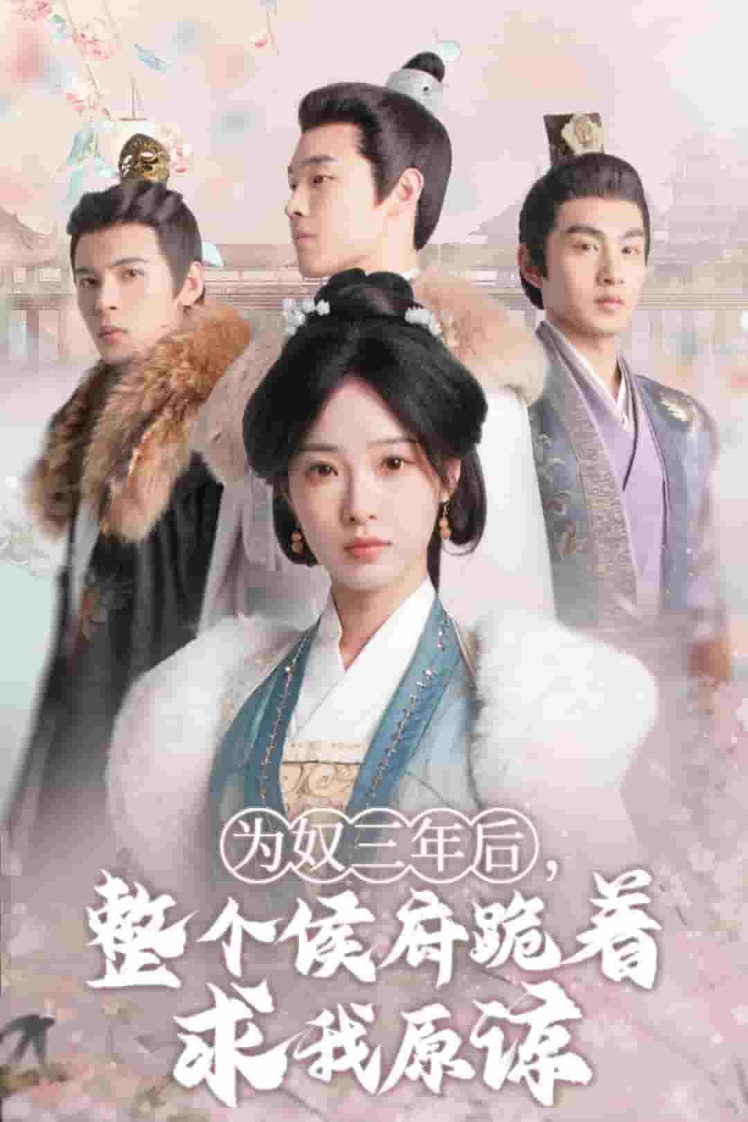 为奴三年后，整个侯府跪着求我原谅 第15集