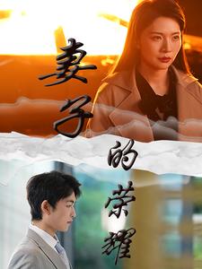 妻子的荣耀 第23集