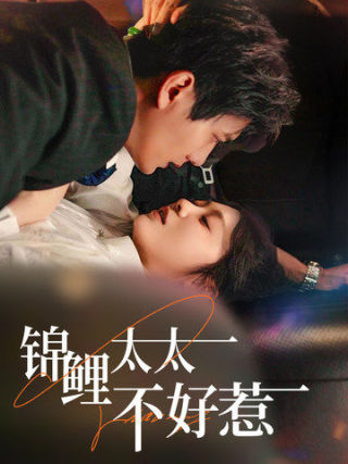 锦鲤太太不好惹 第12集