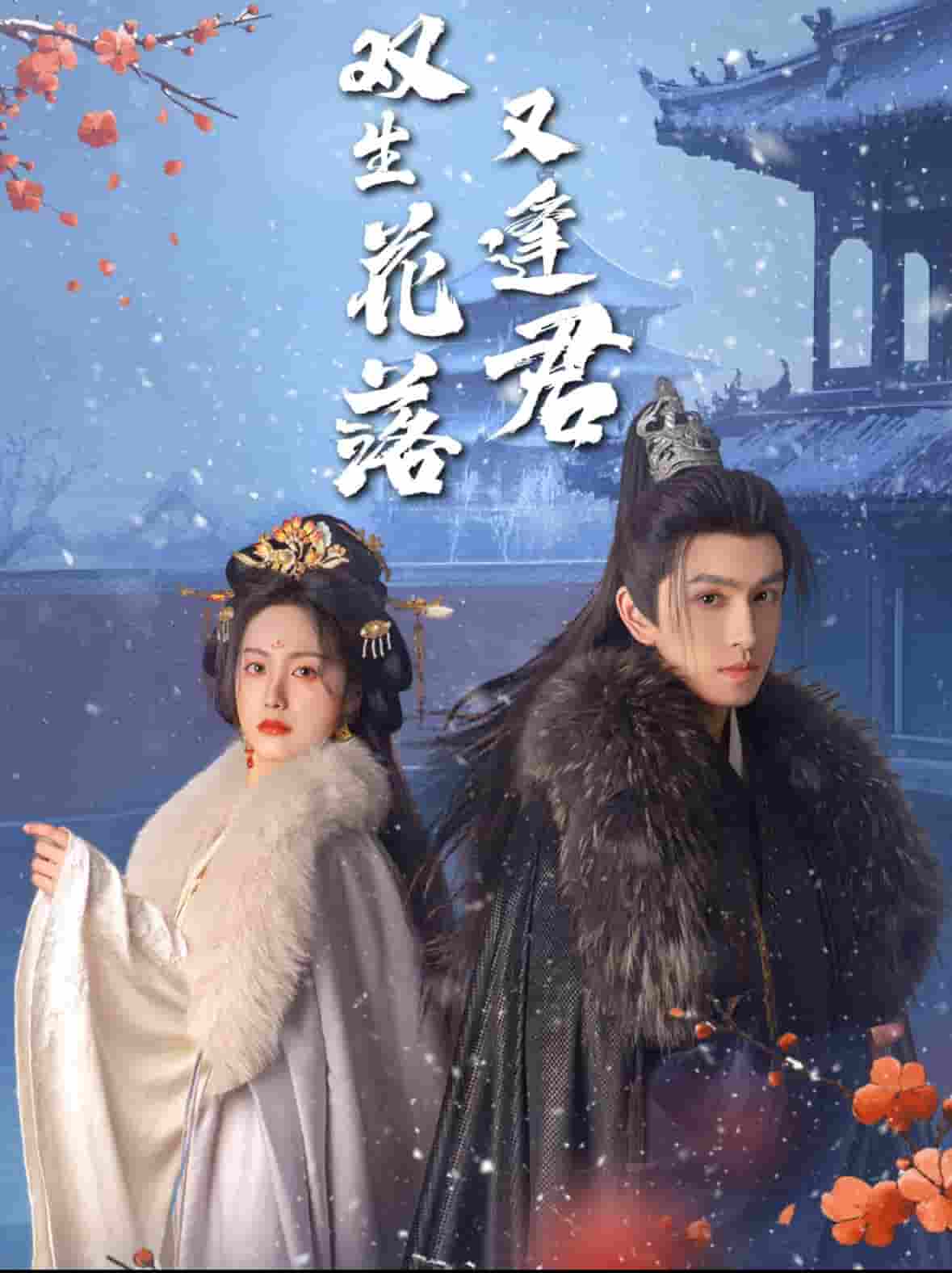 双生花落又逢君 第60集