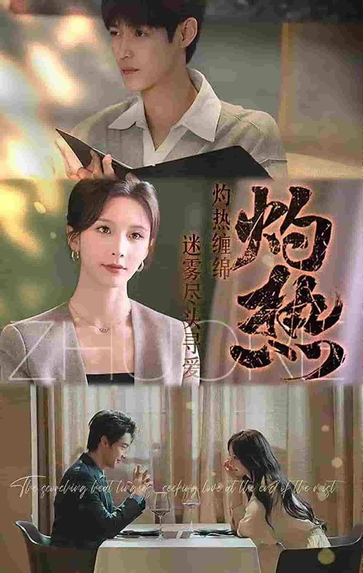 灼热（短剧版） 第29集