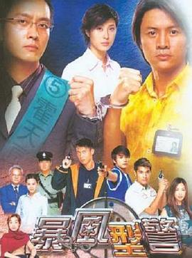 暴风刑警国语 第11集
