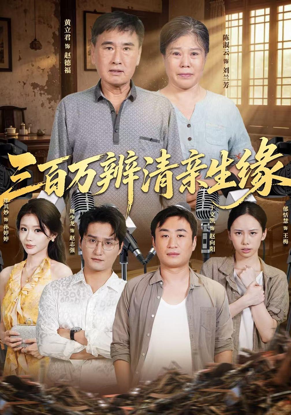 三百万辨清亲生缘(全集)