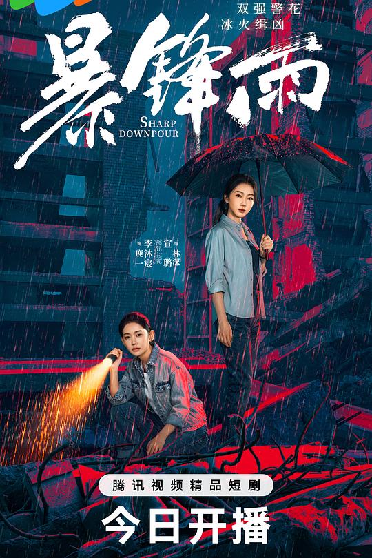 暴锋雨(全集)